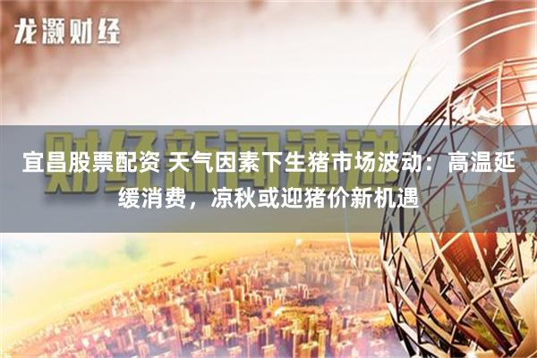 宜昌股票配资 天气因素下生猪市场波动：高温延缓消费，凉秋或迎猪价新机遇