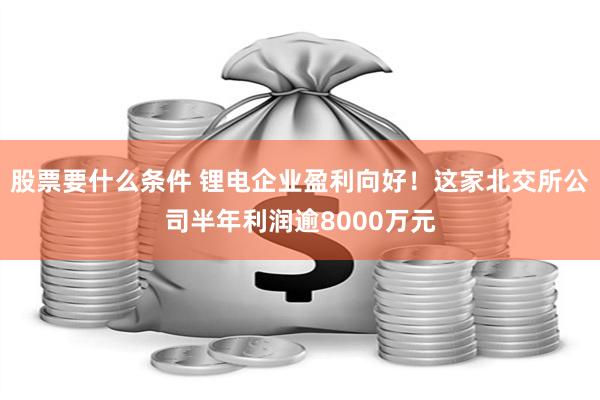 股票要什么条件 锂电企业盈利向好！这家北交所公司半年利润逾8000万元