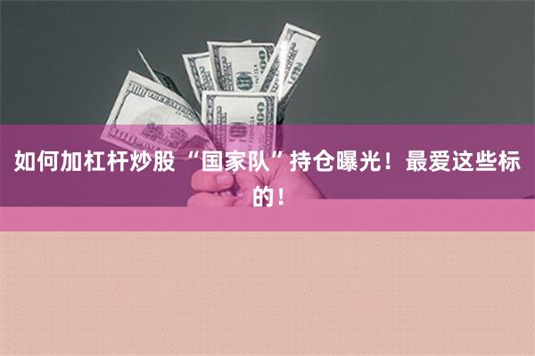 如何加杠杆炒股 “国家队”持仓曝光！最爱这些标的！