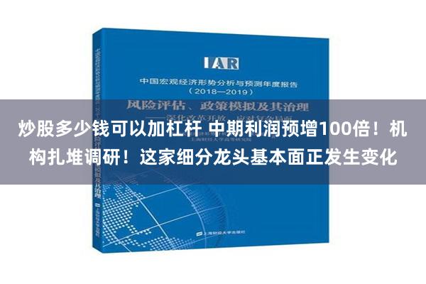 炒股多少钱可以加杠杆 中期利润预增100倍！机构扎堆调研！这家细分龙头基本面正发生变化