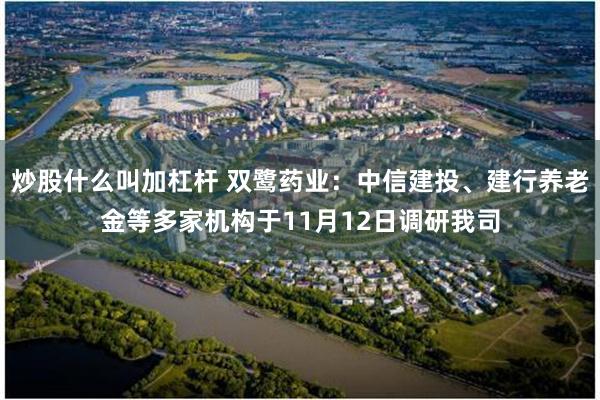 炒股什么叫加杠杆 双鹭药业：中信建投、建行养老金等多家机构于11月12日调研我司