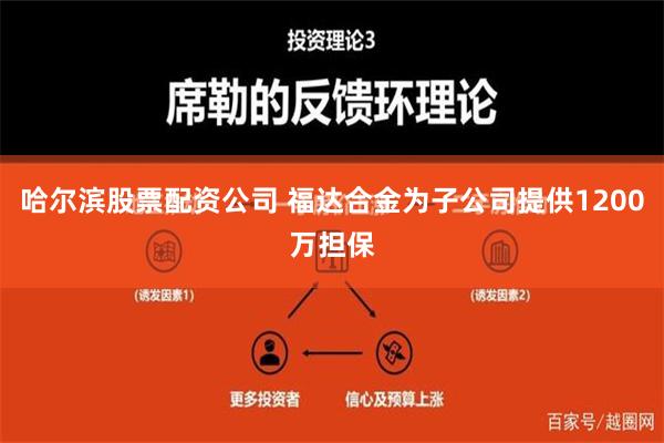 哈尔滨股票配资公司 福达合金为子公司提供1200万担保