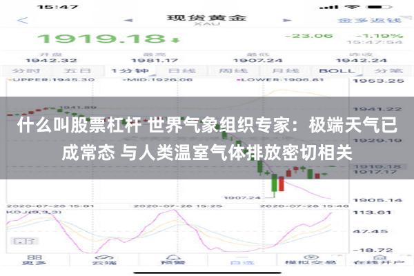 什么叫股票杠杆 世界气象组织专家：极端天气已成常态 与人类温室气体排放密切相关
