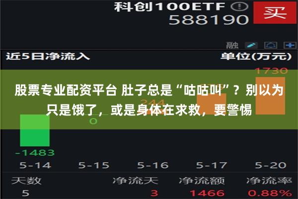 股票专业配资平台 肚子总是“咕咕叫”？别以为只是饿了，或是身体在求救，要警惕